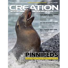 Creation Magazine Vol 43 #1   2021